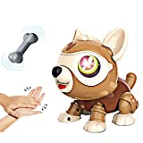 Robot Dog Toys for Kids, DIY Electronics Pet Dog with Bone，Educational Interactive Toys for 3-6 Year Old Girls Boys,Electronics Smart Puppy Pet with Light Flashing Eye & Touch Control