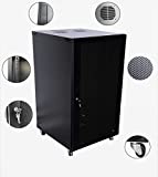 RAISING ELECTRONICS 22U Wall Mount Network Server Cabinet Rack Enclosure Ventilated Door Lock 600mm Deep (22U)