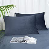 PHF True Velvet Pillowcase Standard Size, 2 Pack Super Soft Pillow Shams Covers, Luxury Cozy Pillow Cases with Envelope Closure, 20" X 26", No Filling, Blue Greyish