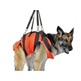 Rock-N-Rescue SAR Dog Harness - Heavy Duty Wear-Resistant Nylon, Sizes to Support Small and Large Dogs, Black, Small