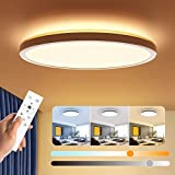 BLNAN Dimmable LED Flush Mount Ceiling Light Fixture with Remote Control, 12Inch 24W 3000K-6500K Light Color Adjustable, Modern Ultra-Thin Ceiling Lamp for Bedroom Kitchen, Wired