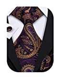 Barry.Wang Purple Gold Ties for Men Paisley Necktie Set Wedding Business