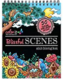 Blissful Scenes Adult Coloring Book - Features 50 Original Hand Drawn Designs Printed on Artist Quality Paper, Hardback Covers, Spiral Binding, Perforated Pages, Bonus Blotter