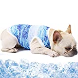 Dog Cooling Vest Harness - Pet Anxiety Relief, Sun Shield Dog Shirt Soft, Light Weight Pet Jacket Mesh Breathable Cooling Coat for Small Medium Large Dogs Walking Hunting Sport Outdoor Hiking Summer