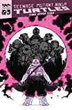 Teenage Mutant Ninja Turtles: Reborn, Vol. 3 - Time After Time (TMNT Reborn)