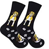 FUNATIC Beagle Dog Dress Socks for Women and Men | Canine Lover Gift Idea with Picture | Best Small Doggy Owner Apparel | Fun Paw Accessory Supplies Present | Adorable Puppy Love Saying Accessories