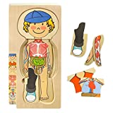 Kidzlane Boy Wooden My Body Puzzle for Toddlers & Kids - 29 Piece Boys Anatomy Puzzle Kid Play Set - Anatomy for Kids, Skeleton Toys for Kids Ages 3 Plus