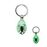 PTGMH Keychain Black Scorpion Resin Key Ring Glow in the Dark Pendents with Insect Sample Inside for Bag Decoration (black(Black scorpions))