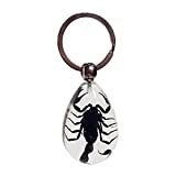 FlyingBean KeyChain With Real Black Scorpion Insect Specimens, Animal Taxidermy Collection, Drop Shape KeyRing Crafts (Scorpion-02)