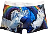 Funny Boxer Briefs - Novelty Boxers, Humorous Underwear, Gag Gifts for Men (Unicorn Kitty Cat, Large)