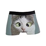 Funny Cat Men's Underwear Men Boxer Briefs Comfort Soft Boxer Briefs