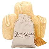 All Natural Loofah Sponge, Set of 3 Real Egyptian Bath & Shower Exfoliating Loofa Scrubber Sponges for Face, Back & Body, Eco Friendly, No Toxic Chemicals, 6" x 6" by Crafts of Egypt