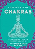 A Little Bit of Chakras: An Introduction to Energy Healing (Volume 5) (Little Bit Series)