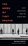 The Book of Tiny Prayer: Daily Meditations from the Plague Year