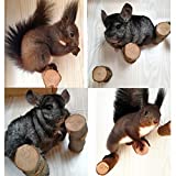 QBLEEV Hamster Chew Toys for Teeth, Wood Chew Sticks Stands Perches for Squirrels Rabbits, Cage Supplies Platform Stands for Birds Parrot Guinea Pigs Chinchilla 3- Pack