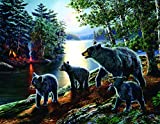 Bear Moon 1000 PieceLarge Jigsaw Puzzle by SunsOut