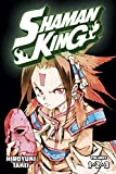 SHAMAN KING Omnibus 1 (Vol. 1-3)