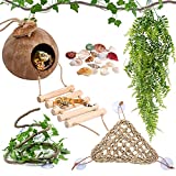 Woiworco 20 Pieces Bearded Dragon Accessories, Including Reptiles Hanging Plants, Artificial Bendable Climbing Vines, Hammock, Shells and Hidden Coconut Shell Pet Terrarium Supplies for Pet to Perch