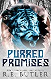 Purred Promises (Cider Falls Shifters Book 1)