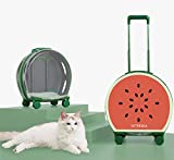 VETRESKA Hard Cat Carrier with Stickers & 2 Mats, Freely Breathe Travel Dog Carrier, Airline Approved Outdoor Cat Crate, Cat Kennel Trolley Case Portable with Silent Wheel for Cats and Dogs