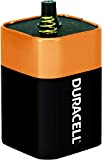 Duracell - CopperTop 6V 908 Alkaline Lantern Batteries with Spring Terminals - long lasting, 6 Volt battery for household and business - 1 count