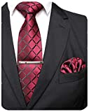 JEMYGINS Plaid Burgundy Tie and Pocket Square Hankerchief Mens Silk Necktie with Tie Clip Sets(6)