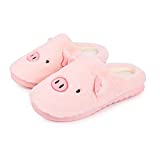 FJWYSANGU Womens Animal Slippers Pig House Shoes Fuzzy Cute Couple Slippers for Indoor Outdoor Pink