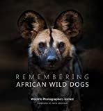 Remembering African Wild Dogs