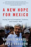 A New Hope For Mexico: Saying No to Corruption, Violence, and Trump's Wall