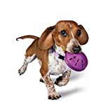 PetSafe Busy Buddy Twist 'n Treat Dispensing Dog Toy - Extra Small, Small, Medium, Large