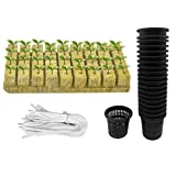 Iceyyyy 76Pcs Hydroponics Mesh Net Cup Kit - 20 Packs 2 Inches Slotted Mesh Net Pot Cups, 36Packs 1.5x1.5x1.5Inch Rockwool Starter Plugs, 20 Article Self Watering Cotton Wick Cord for Hydroponics