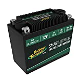 Battery Tender Engine Start Battery: Lithium Motorcycle Battery with Smart Battery Management System (BMS) - 12V 6.1 AH 360 CCA Lightweight Starting Batteries for Motorcycles and ATVs - BTL20A360CW