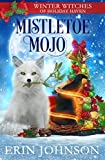 Mistletoe Mojo: A Christmas Paranormal Cozy Mystery