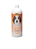 Groom 'N Fresh Dog Grooming Cologne Aromatic Perfume Oil Pet Finishing Spray (32oz)