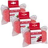 Spongeables Skinutrients Moisturizing Body Wash in a Sponge With Bonus Travel Bag 20+ Washes Paraben and Cruelty-Free, Pomegranate Punch, 3.5 Oz (Pack of 3)