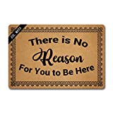 ZSL Funny Welcome Mats Anti-Slip Rubber Doormat with Personalized Design Entrance Indoor Doormat Kitchen mats and Rugs (There is No Reason for You to Be Here)