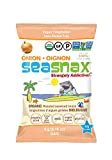 SeaSnax Organic Roasted Seaweed Snack Onion, 0.18 Ounce (Pack of 6)