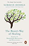 Brains Way Of Healing