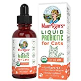 Cat Probiotic | USDA Organic Probiotic Cat | Probiotic for Cats | Cat Probiotic for Digestive Support | Supplement for Gut Health & Beneficial Bacteria | Vegan | Non-GMO | Gluten Free | 4 Fl Oz