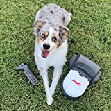 Swift Paws Home - Remote Control Capture The Flag Toy for Dogs, Lure Course, Fun Enrichment Agility Chase Game