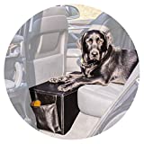 Enchanted Home Pet Orthopedic Sturdy Backseat Extender with Storage Black, Large (51 - 100 lbs)