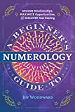 A Beginner's Guide to Numerology: Decode Relationships, Maximize Opportunities, and Discover Your Destiny