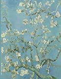 Teacher Planner August 2019 - July 2020, Vincent van Gogh Almond Blossoms (1890): Weekly, Monthly and Yearly Lesson Planner