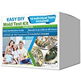 Evviva Sciences Mold Test Kit for Home - 10 Simple Detection Tests w/Optional Lab Analysis, Test HVAC System, Home Surfaces, & Indoor Air Quality Testing Kit - Downloadable Identification Guide