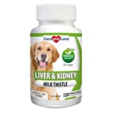 Milk Thistle for Dogs - 120 Chewable Tablets - Liver and Kidney Support for Dogs - Hepatic Support with EPA & DHA - Detox for Dogs - Dog Liver Support - Liver Supplement for Dogs