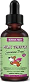 Wonder Paws Milk Thistle for Dogs, Liver Support for Dogs, Supports Kidney Function for Pets, Detox, Hepatic Support, with Wild Alaskan Salmon Oil & Curcumin, Omega 3 EPA & DHA - 2 oz Pet Supplement