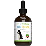 Pet Wellbeing Milk Thistle for Dogs & Cats - Supports Liver Health, Protects Liver - Glycerin-Based Natural Herbal Supplement - 4 oz (118 ml)