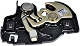 Dorman 315-100 Hood Latch Assembly Compatible with Select Models