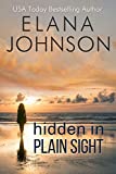 Hidden in Plain Sight: A Sweet Romantic Suspense (Forbidden Lake Romance Book 1)