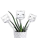 Whiidoom 3 Pack Glass Self Watering Globes, Durable Mini Transparent Plant Watering Bulbs for Indoor and Outdoor (Clear Cat)